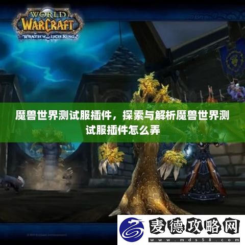 探索与解析魔兽世界测试服插件怎么弄