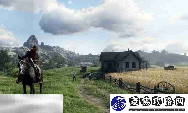 镖客老太太介绍