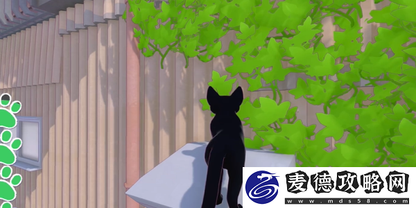小猫咪大城市小恶魔帽获取攻略大揭秘！