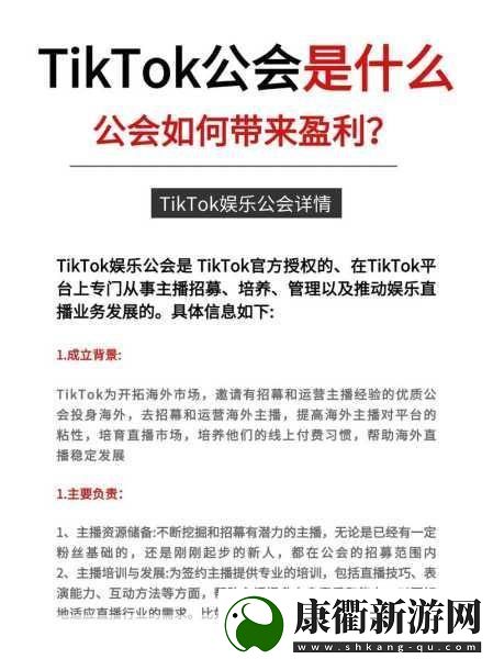 TikTok直播浪潮下