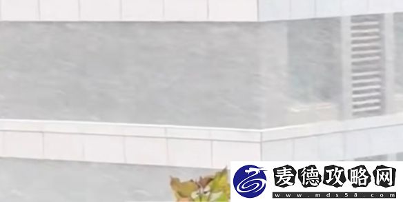 山东雨雪天气引热议