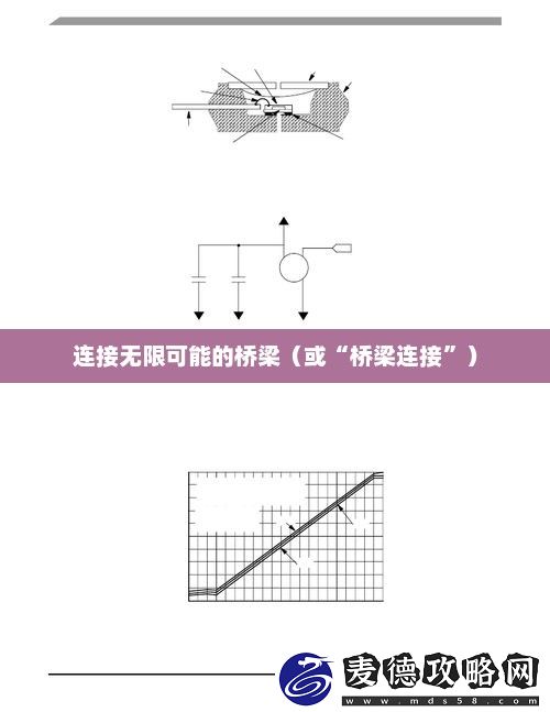 连接无限可能的桥梁CONNECT萌娘