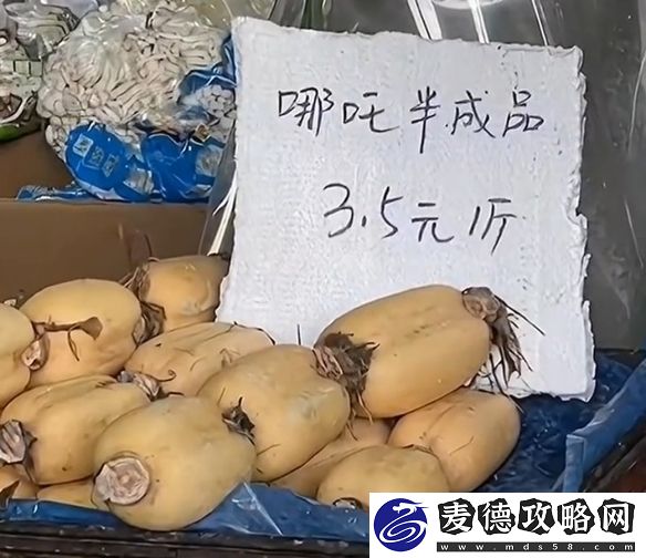 太乙真人严选