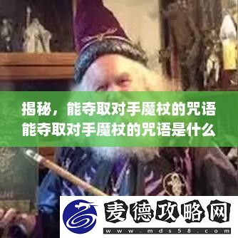 能夺取对手魔杖的咒语能夺取对手魔杖的咒语是什么