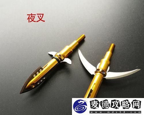 细节决定成败-掌握技巧轻松过关
