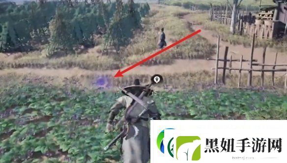 燕云十六声清心圃蹊跷在哪