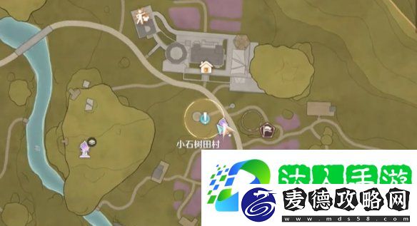 照片调查花房失物胸针在哪里