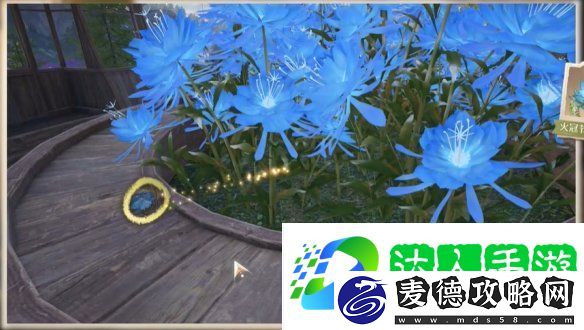 照片调查花房失物胸针在哪里