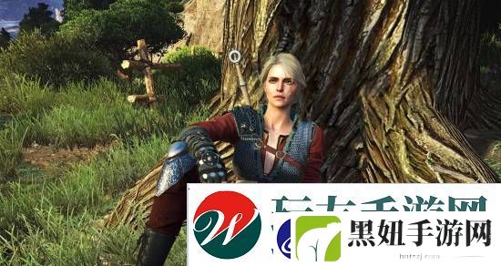 巫师4希里当主角！粉丝争议是否存在女猎魔人