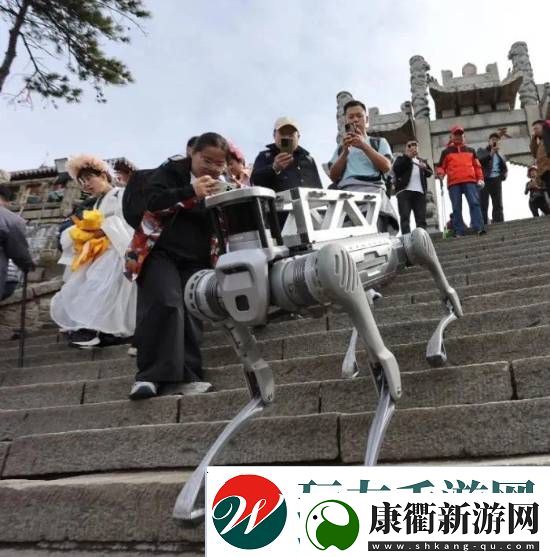机器狗在泰山“入职”
