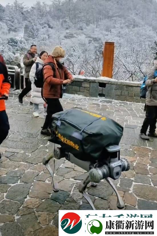机器狗在泰山“入职”