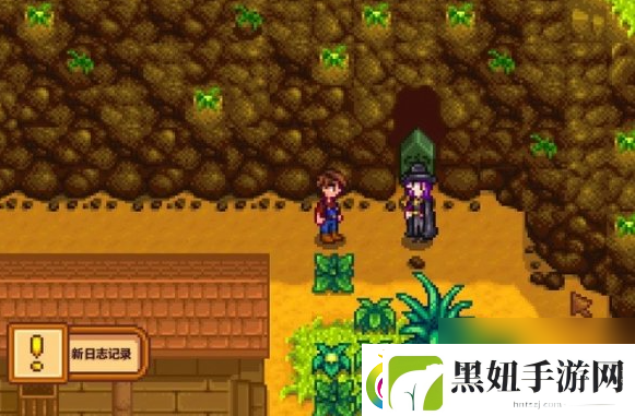 星露谷物语水道另一个洞开启方法