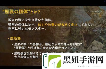 怪物猎人