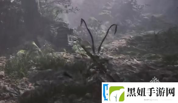 黑神话悟空水帘洞土地庙位置图文介绍