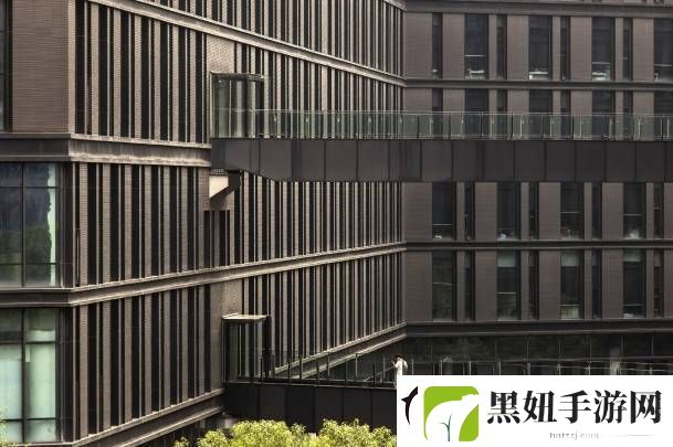 丁磊重掌易游戏
