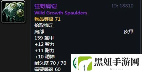 魔兽世界怀旧服黑翼之巢萨满毕业装备掉落一览