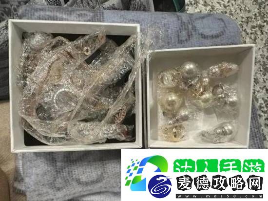 两旅客揣着