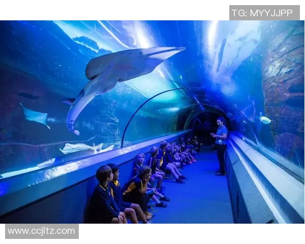 布里斯班与阳光海岸的精彩对决展现澳洲足球的魅力与激情 布里斯班与阳光海岸的精彩对决展现澳洲足球的魅力与激情