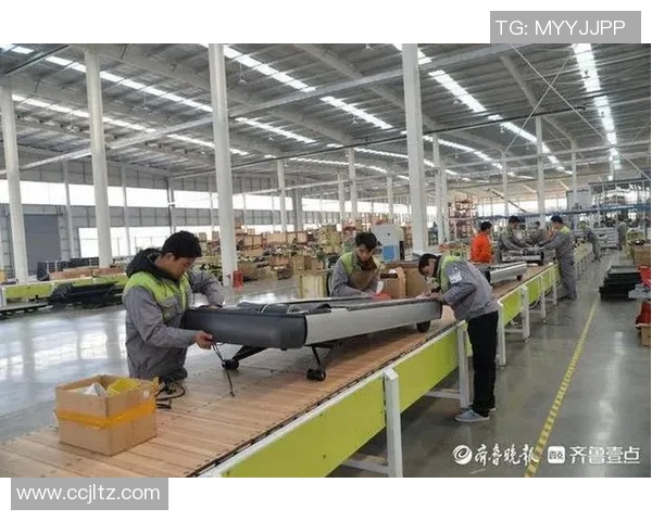 提升健康生活品质罗塞罗德健身器材助你塑造完美身材